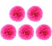 5 Pcs 6 inch Tissue Paper Pom Poms, Paper Flower Balls Hanging Fluffy Tissue Paper Flowers Decorations Paper Pompom Flowers for