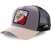 Anime Cartoon Snapback Gorra de Béisbol humbre Mujeres hip hop Papá sombrero del camión