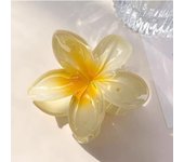 1/6pcs Fashion Flower Hair Clips Vacation Bohemia Egg Flower Large Hair Claw Hairpin Women Hair Accessories