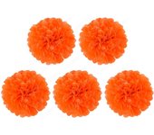 5 Pcs 6 inch Tissue Paper Pom Poms, Paper Flower Balls Hanging Fluffy Tissue Paper Flowers Decorations Paper Pompom Flowers for