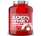 100% WHEY PROTEIN PROF. 2350G CHOCO-AVELLANA