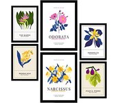 Nacnic Set de 6 Pósters de Flores Narciso Arte de Pared Colores Vibrantes