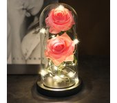 Two Roses Beauty And The Beast Red Rose In A Glass Dome On A Wooden Base Rose Lamp For Valentine's Day Christmas Gift Home Decor