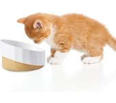 Cuenco para gatos, cuenco elevado para gatos y perros, cuenco decorativo/antideslizante/antivómitos para mascotas, dispensador de comida para gatos y perros pequeños.