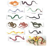 12 mini plastic rainforest snakes, realistic and colorful fake snake toys. Halloween party favorite decoration, prank toys