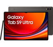 Galaxy Tab S9 Ultra 256GB - Gris - WiFi