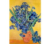 Vincent Van Gogh Classic Collection Art Poster Canvas Painting Terrace At Night Irises Wall Picture Print Living Room Home Decor