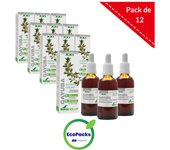 Soria Natural EcoPack 12 Extracto de Gayuba 50 ml
