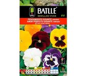 Batlle Semillas de Pensamiento Gigante Variado - Planta Bisanual - Para Macizos Orillas y Parterres - Cultivo en Primavera Verano y Otoño - Floración en Primavera Verano U Otoño - Peso Neto 0.50 G - 375 Semillas