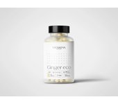 Ginger eco