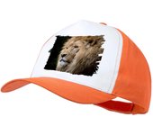 MERCHANDMANIA GORRA COLOR leon majestuoso salvaje selva savana feroz fiera color cap