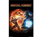 Detodoexpres - Póster Mortal Kombat 9 - 61 X 91.5 - Oficial - Alta Calidad
