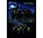 Pyramid International Cuadro Harry Potter (Hogwarts School) Framed 30 x 40cm