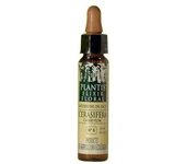 Flores De Bach Cerasifera-6 Elixir Floral Eco 10 ml de elixir floral  Plantis