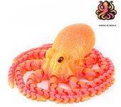 3D Printed Articulated Octopus – Poseable Tentacles Desk Toy, Eco-Friendly PLA Sculpture, Unique Gift for Kids & Adults
