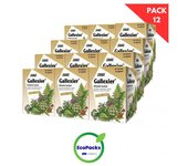 Salus EcoPack 12 Gallexier Infusion 15 Bolsitas