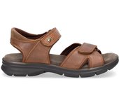 Sandalia Panama Jack Sanders Basics - Piel Autentica - Color Brown - Cierre Autoadherente