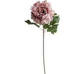 Poenia Arte Floral - Varas de Peonias Artificiales 56cm - Pack de 3 - Decoración Floral