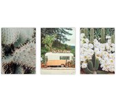 Set de 3 cuadros calidad premium con marco de madera - 30x40 cm o 50x70 cm - POSTER LAB