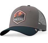 Born to Ride Grey / Blue