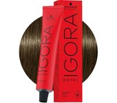 Schwarzkopf Igora Royal 6-31 Rubio Dark Matt Cendrè 60ml