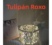 New DIY Tulip Mirror Cube Lamp Three-Dimensional Nightlight Material Package Handmade Craft Birthday Gifts Led Tulip Night Light