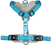 Arnés para Mascotas Nayeco x-trm 35-60 x 1,5 cm Azul