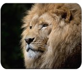 MERCHANDMANIA ALFOMBRILLA PEQUEÑA leon majestuoso salvaje selva savana feroz fiera mousepad raton
