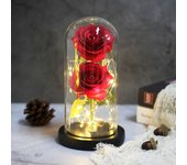 Two Roses Beauty And The Beast Red Rose In A Glass Dome On A Wooden Base Rose Lamp For Valentine's Day Christmas Gift Home Decor