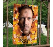 House MD TV Small Size Cheerleading Banner Hand Pulled Flag Outdoor Atmosphere Flags