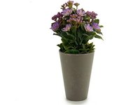 Planta Decorativa Plástico 11 x 22 x 11 cm