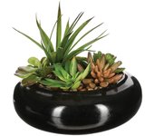 Atmosphera Composición de Centro con Surtido de Plantas y Florero de Cerámica