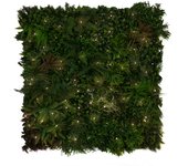 Nortene | Jardín Vertical Lighted Sauvage 100 X 100 Cm | Decoración De Pared | Diseño Moderno | Perfecto Para Ambientes Modernos Y Naturales