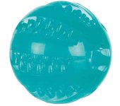 Trixie Pelota Termoplástico Menta Denta Fun para Perros  Juguete para Perros