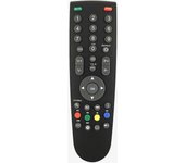 Roua.eu Mando a Distancia ROUA para TV Grundig | Modelo RC-YC1 | 48VLE4421WF | LCD LED