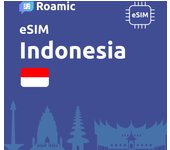 Roamic eSIM Indonesia para Viajeros - eSIM para Indonesia - Datos Móviles en 5G/4G y Conexión de Alta Velocidad. Evita Pagar Gastos de Roaming