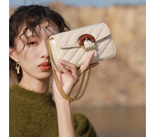 2024 New Trendy Luxury Summer Women's Bag Versatile Embroidered Thread Chain Design Sense Crossbody Mini Bag