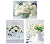Dcasa Set de 3 cuadros impresión de rosas blancas sobre lienzo de 30x40 cm