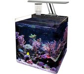 Ica Nano Acuario Marino OCEAN FREE - Completo Kit Incluido - Bomba de Aire y Skimmer 16 L