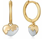 Pendientes Mujer Viceroy 13187E100-00 Plata de ley 925
