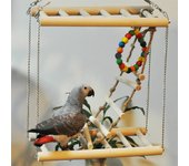 Small Parrot Rat Toy Bridge Ladder Hamster Bird Cage Accessories
