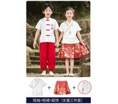 Children's Hanfu Girls' Horse Face Skirt Set Summer New Chinese Style Ming Dynasty Thickened Tang Costume