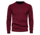 Alta calidad otoño invierno 2024 nuevo suéter de algodón para hombres sudadera jersey jersey