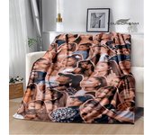 Singer Ariana grande printed blanket Flange Warm blanket soft and comfortable blankets bed linings cubre cama birthday gift