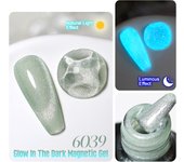 Parkson 10ml Night Glow Cat Eye Nail Gel Polish Shining Meteor Magnetic Cat Eye Gel Polish Glitter Lacquer Semi Permanent UV Gel