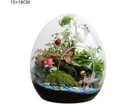 Creative Egg-shaped Glass Bottles Succulent Glass Vase Hydroponic Fleshy Micro Landscape Glass Terrarium Moss Home Decoration