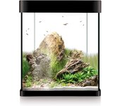 ICA - Kit Nano Aqualed 30 (30 Litros) - Kit Completo con Acuario de Cristal para Agua Dulce