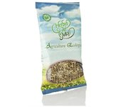 Herbes del Moli Raíz de Angélica Bio 60g