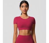 Yoga T-shirt Women Fitness Crop Top Shockproof Sports Bras Running Push Up Training Suit Gym Sports Crop Tops Solid Color Breath