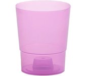 Prosperplast Maceta COUBI ORCHID 1,1L - Alta Calidad